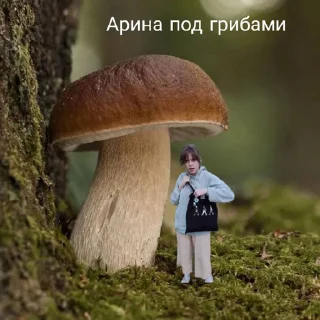 🍄 emoji кумачевня Telegram sticker 7 of 26