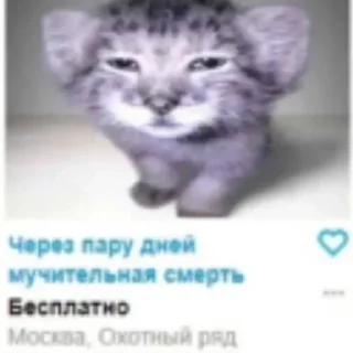 Sticker from котейки
