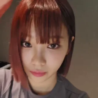 🪽 emoji chaewon — @didistick Telegram sticker 6 of 19