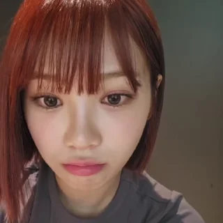 🪽 emoji chaewon — @didistick Telegram sticker 9 of 19