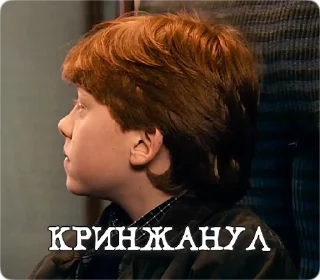🫤 emoji Potter Memes | Гарри Поттер Telegram sticker 18 of 60