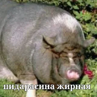 🐖 emoji миньоны Telegram sticker 12 of 19