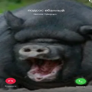 🐗 emoji миньоны Telegram sticker 11 of 19