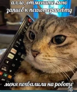🌟 emoji На случай важных переговоров Telegram sticker 24 of 120
