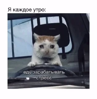 🌟 emoji На случай важных переговоров Telegram sticker 6 of 120