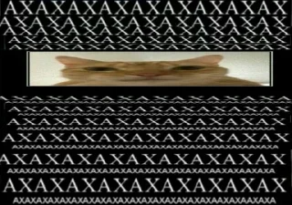 Sticker from котики
