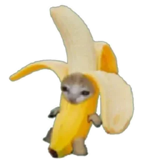 😜 emoji Киси Telegram sticker 5 of 60