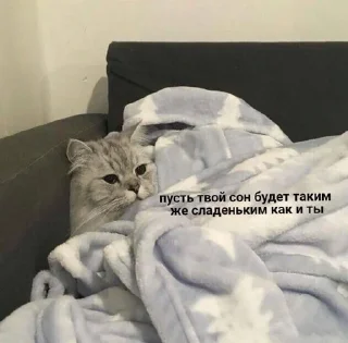Sticker from киси