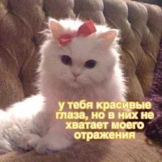 😊 emoji киси Telegram sticker 15 of 94