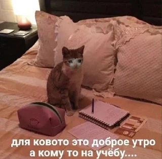 😔 emoji киси Telegram sticker 21 of 94