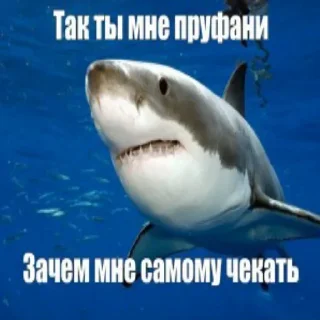 😐 emoji Пон: @Pea4_stickerbot Telegram sticker 5 of 10