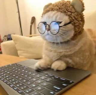 🐱 emoji Котики в очках Telegram sticker 12 of 19