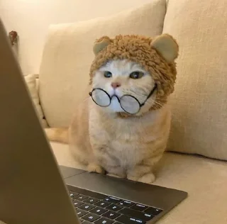 🐱 emoji Котики в очках Telegram sticker 13 of 19
