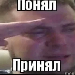 Sticker from Мемы