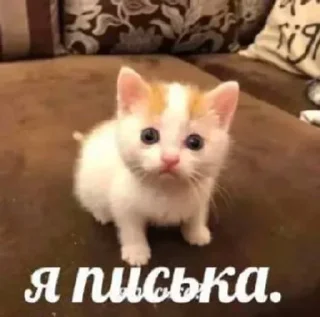 🌟 emoji фигняалины Telegram sticker 13 of 105