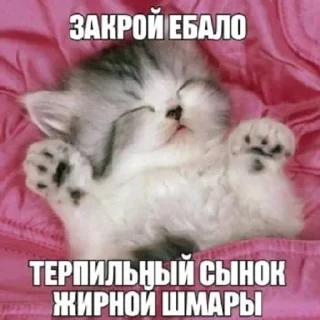 🌟 emoji фигняалины Telegram sticker 24 of 105