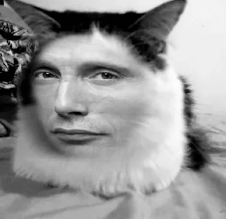 🐈‍⬛ emoji Mads Mikkelsen🎀 Telegram sticker 22 of 91