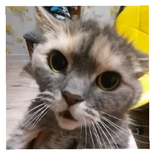 😈 emoji Мира богиня Telegram sticker 7 of 10