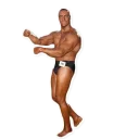 ✊ emoji Alexander Nevsky Telegram sticker 11 of 20