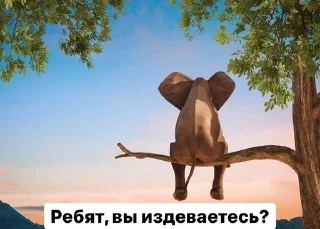 Sticker from какашки