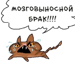 💔 emoji АХАХА КОТЫ УБИВАЮТ СЕБЯ Telegram sticker 18 of 68