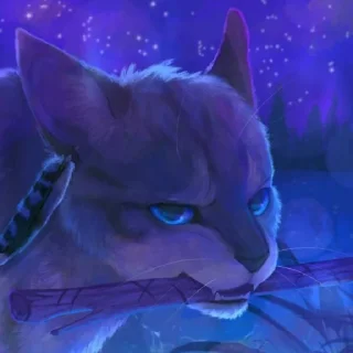 😡 emoji Коты-воители Воробей Telegram sticker 12 of 13