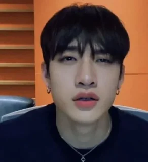 🐺 emoji →Bang Chan | @ChanSKZ Telegram sticker 18 of 44