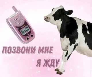 🐄 emoji 🦭 Telegram sticker 21 of 119