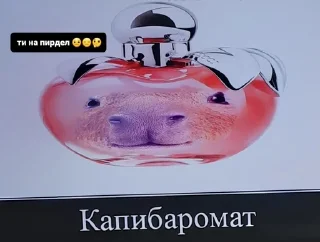 🌟 emoji Капибари мутанти🫡 Telegram sticker 11 of 22