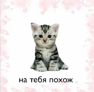 💍 emoji >>>>>> Telegram sticker 10 of 29