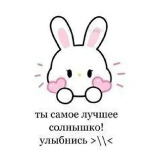 🐈 emoji >>>>>> Telegram sticker 5 of 29