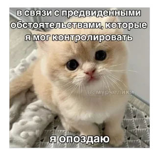 🫥 emoji Сегодня... Telegram sticker 18 of 18