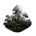 🍄 emoji Грибной pack Telegram sticker 12 of 15