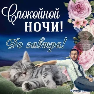 😴 emoji Стики от Грачика Telegram sticker 11 of 35