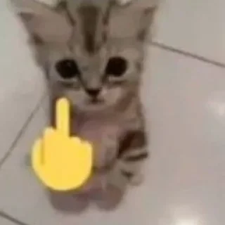 🖕 emoji Тот кто прочитал гей Telegram sticker 7 of 115