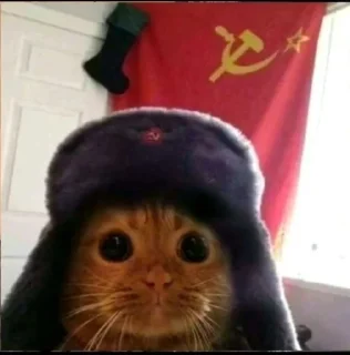 🥺 emoji стикери от соника Telegram sticker 21 of 64