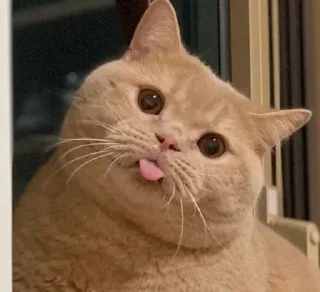 😛 emoji Nya! Telegram sticker 24 of 45