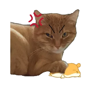 😡 emoji Йося и Матюша Telegram sticker 6 of 45