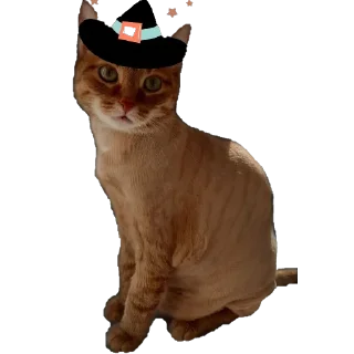 😆 emoji Йося и Матюша Telegram sticker 5 of 45