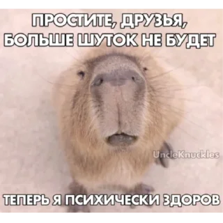 ☹️ emoji Просто стикеры без смысла Telegram sticker 22 of 24