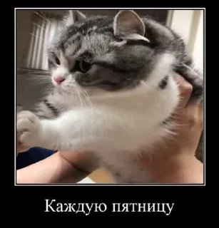 😪 emoji милки топ Telegram sticker 23 of 25