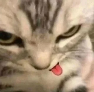 👅 emoji Михуйчик Telegram sticker 19 of 74