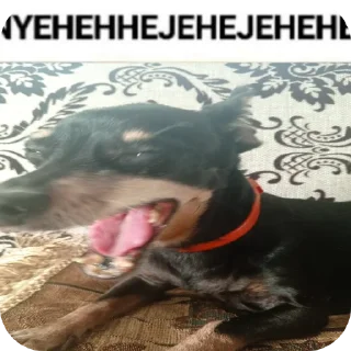 🐶 emoji Пушистек Telegram sticker 8 of 13
