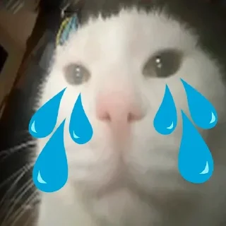 😢 emoji GANDONI Telegram sticker 13 of 31