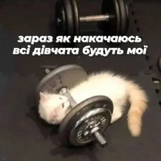 💪 emoji ну а що казати.. @ashchokazatynuhuy Telegram sticker 8 of 105