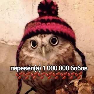 🦉 emoji СОВА Telegram sticker 5 of 24