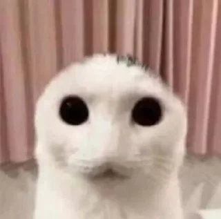 🌟 emoji Да я люблю сосать член Telegram sticker 21 of 50