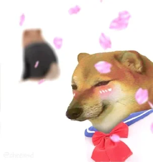 🧱 emoji 𝐂𝐇𝐄𝐄𝐌𝐒𝐁𝐔𝐑𝐆𝐄𝐑 𝟏 Telegram sticker 22 of 39