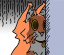 😨 emoji Wonderful orange cat (@n_chronos) Telegram sticker 14 of 40