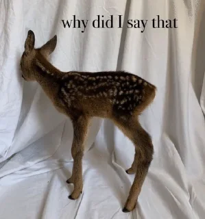 🤎 emoji my spirit animal 🦌 Telegram sticker 10 of 28